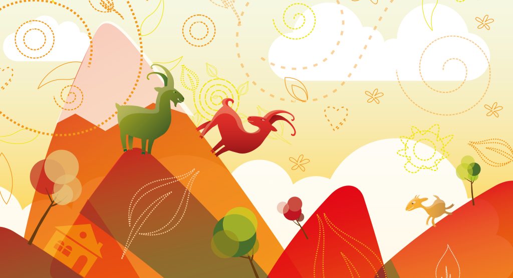 Steinboecke illustration